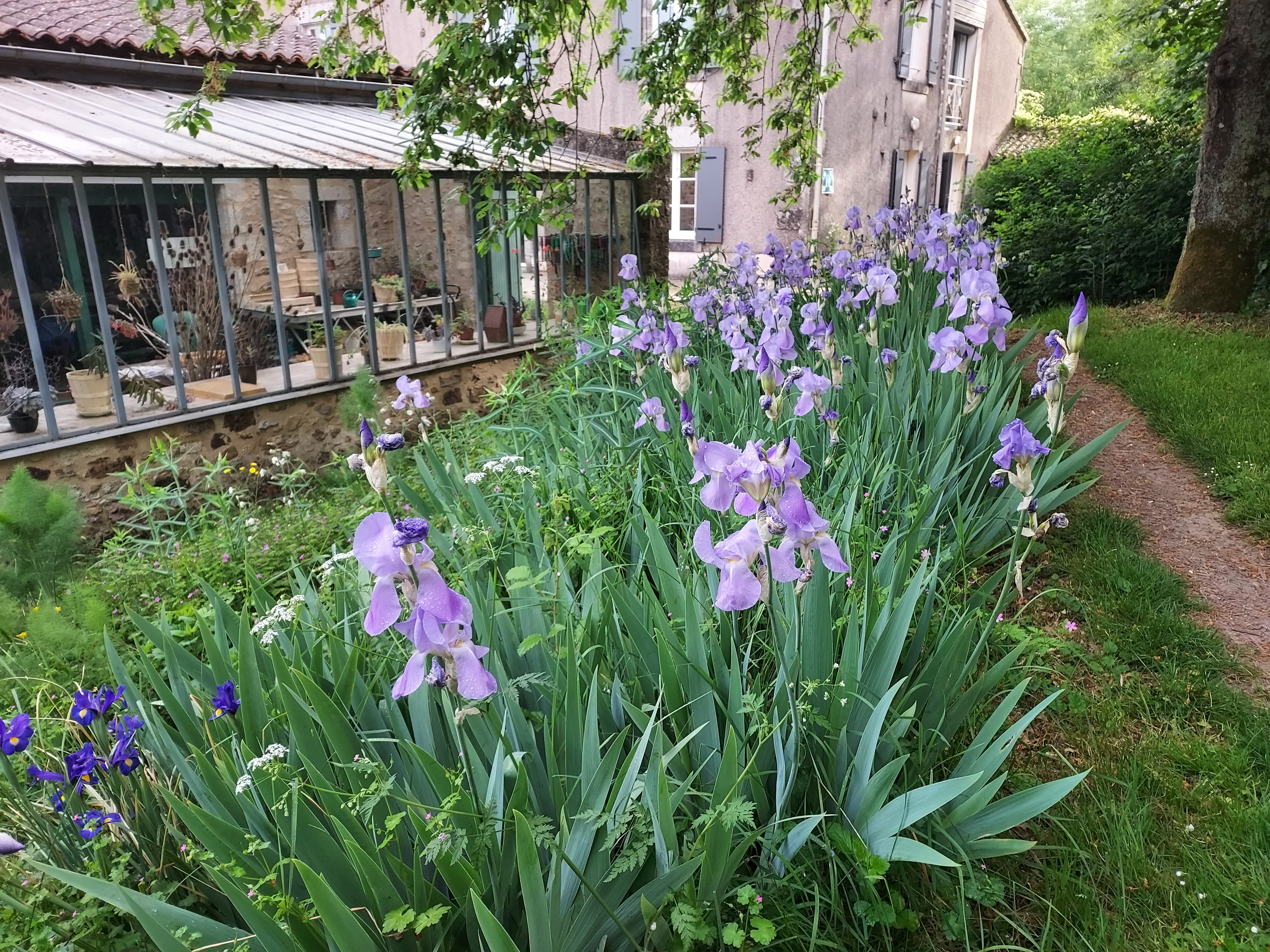 Visite du "Jardin des sens"