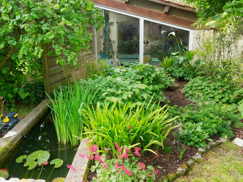Visite du petit jardin d'une ikebaniste