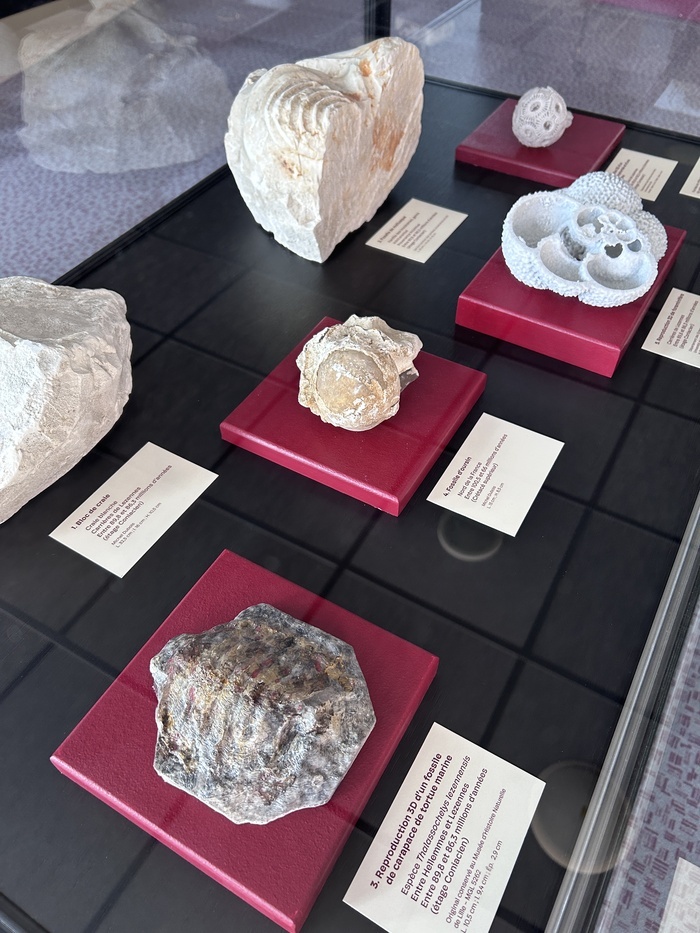 Exposition Le monde souterrain des carrières