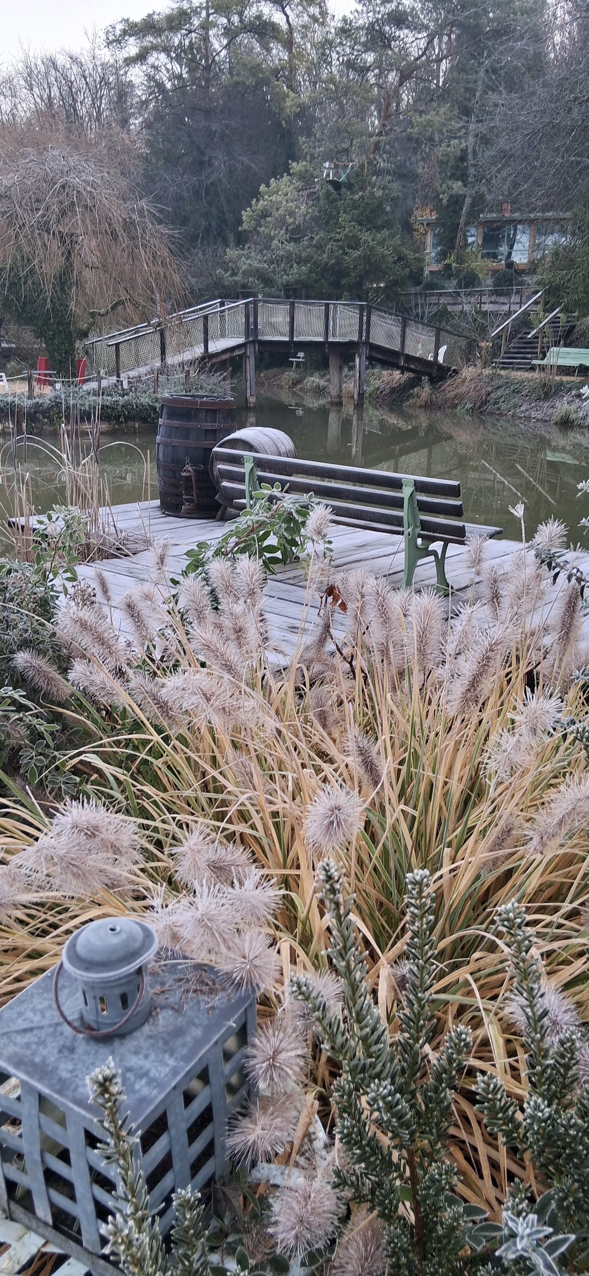 Découverte du Jardin des Grimpantes