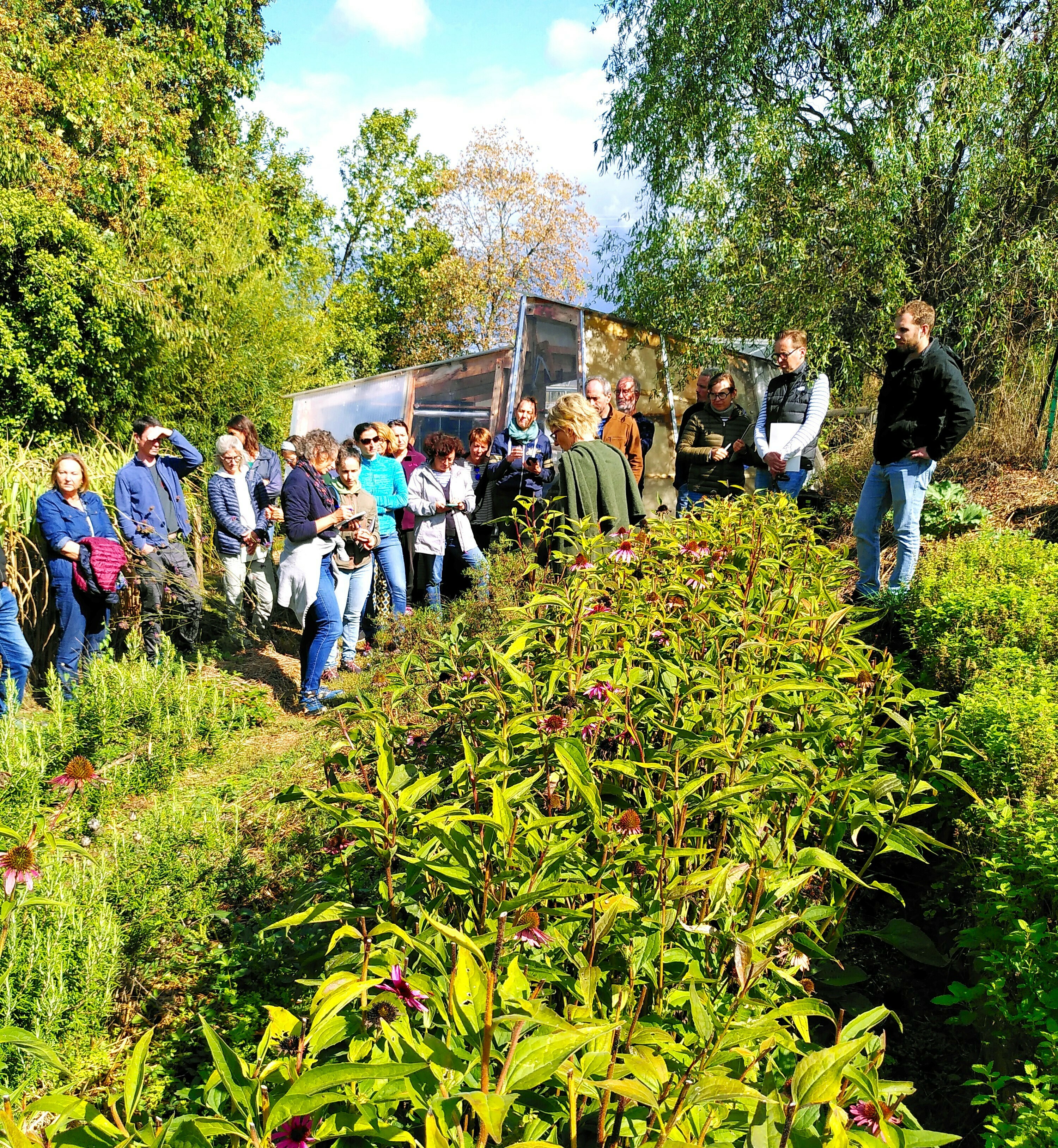 Visite accompagnée de Jardins en permaculture