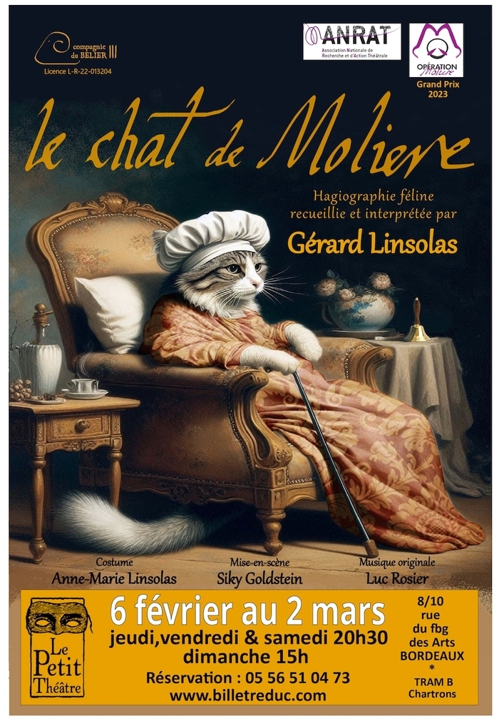 Le chat de Molière