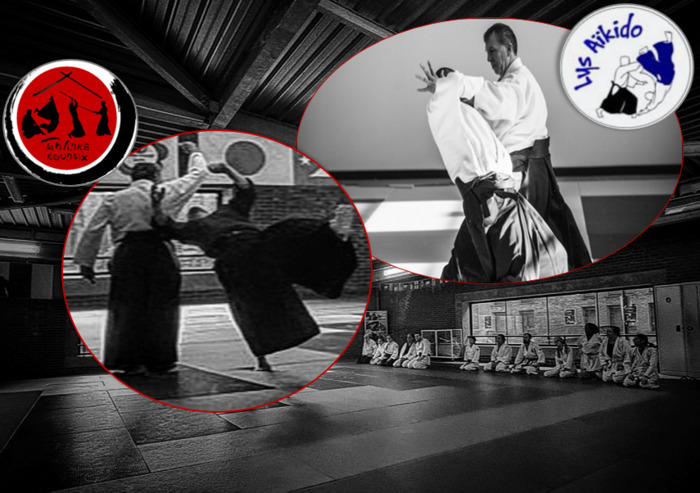 Cours spécial InterClub d'Aikido adultes/ados, ce mardi 9 décembre de 19 à 21h, salle Bernard Jeu à Roubaix
