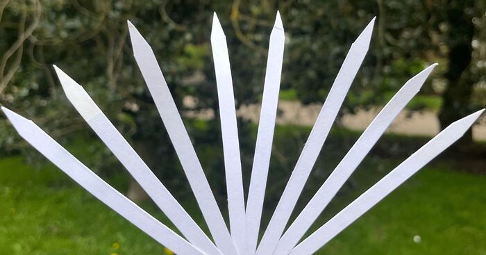 Rdv aux Jardins : La Pouponnière éveille vos sens