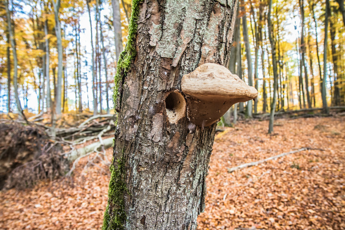 Un cimetière plein de vie