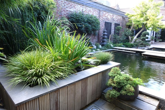 Le Sentier du Chimonobambusa