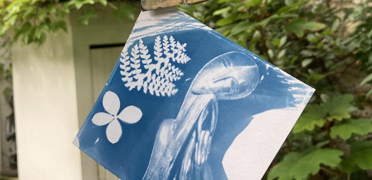 À la découverte du cyanotype dans le jardin du musée Zadkine