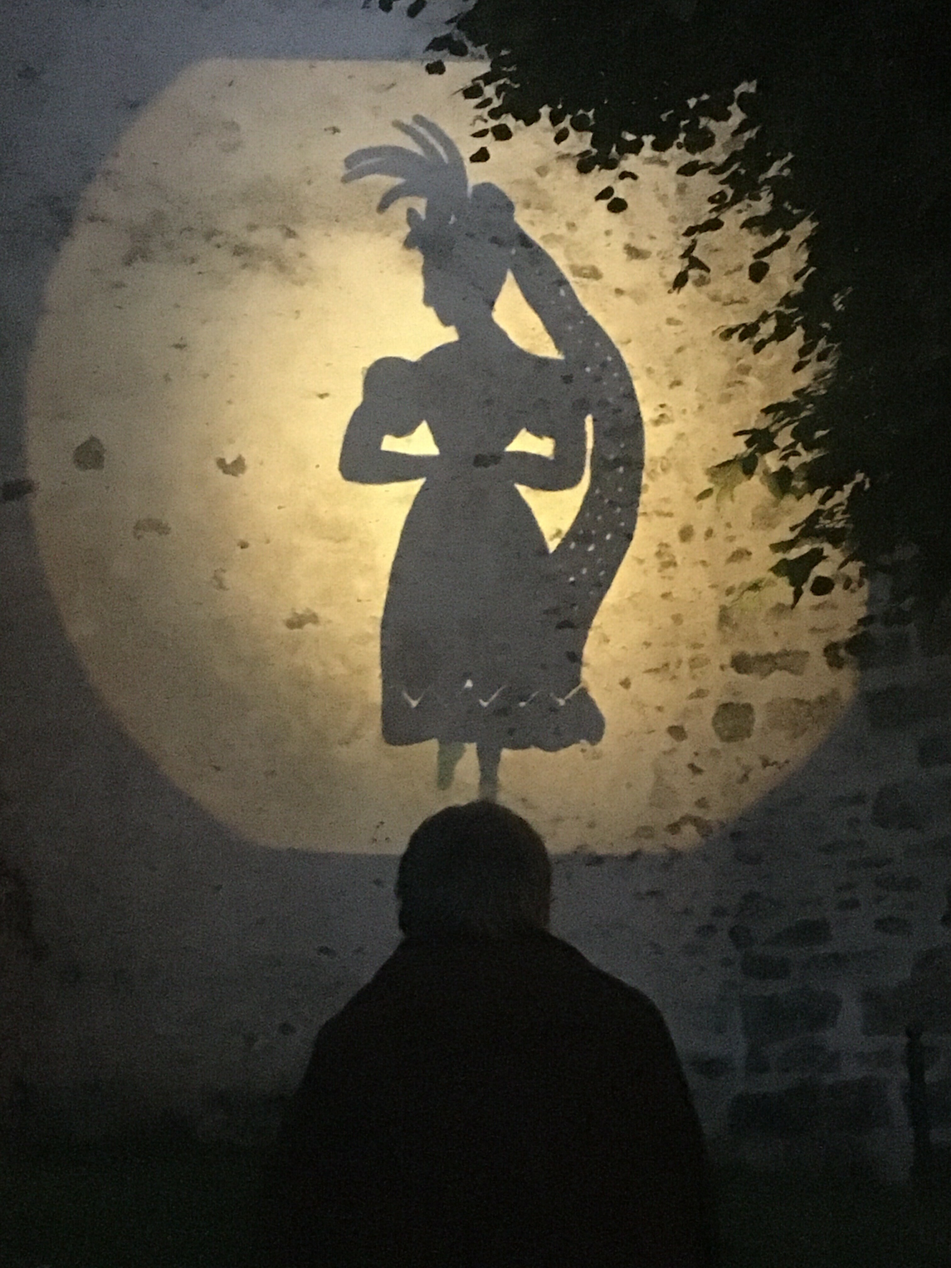 Spectacle à la lanterne magique