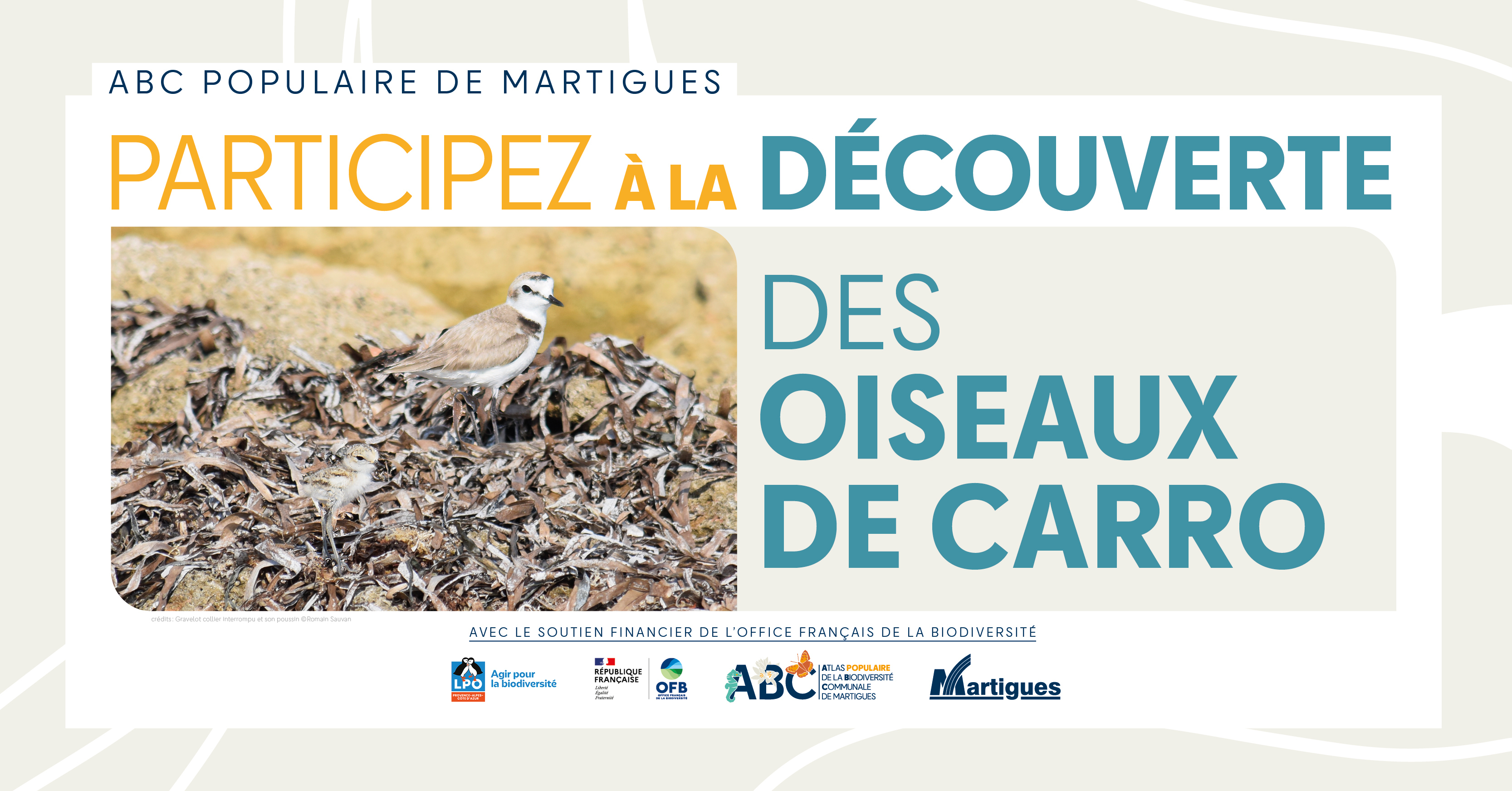 Atlas populaire de la Biodiversité Communale : "Découverte des oiseaux de Carro"