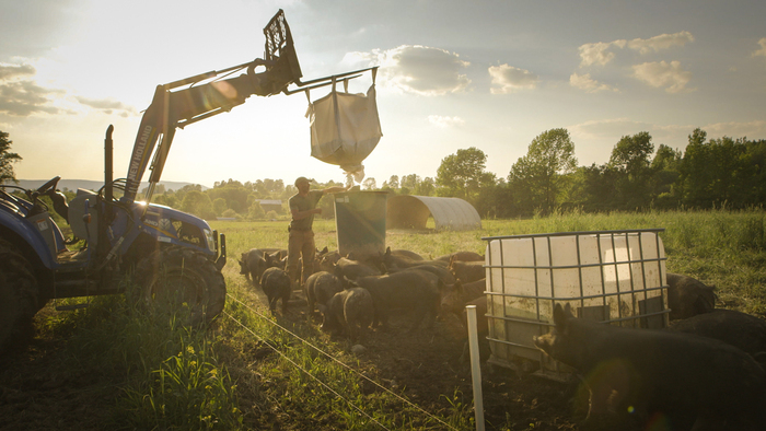 La viande dans la crise du vivant