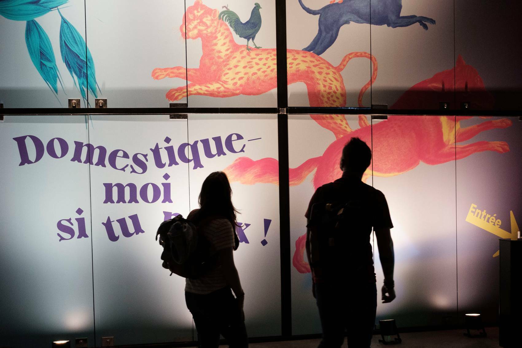 Visite guidée de l'exposition "Domestique-moi si tu peux !"