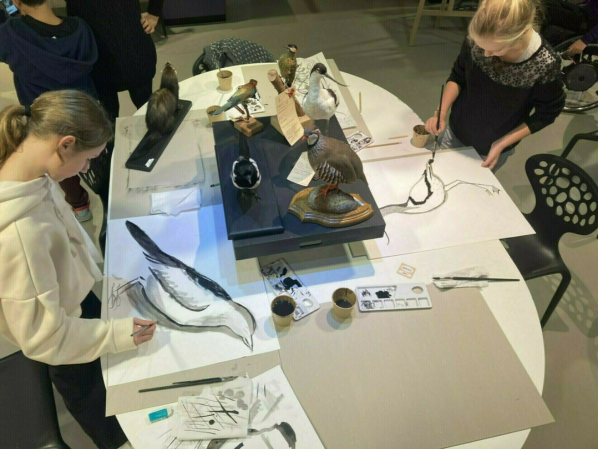 Atelier de dessin naturaliste à Tournefeuille