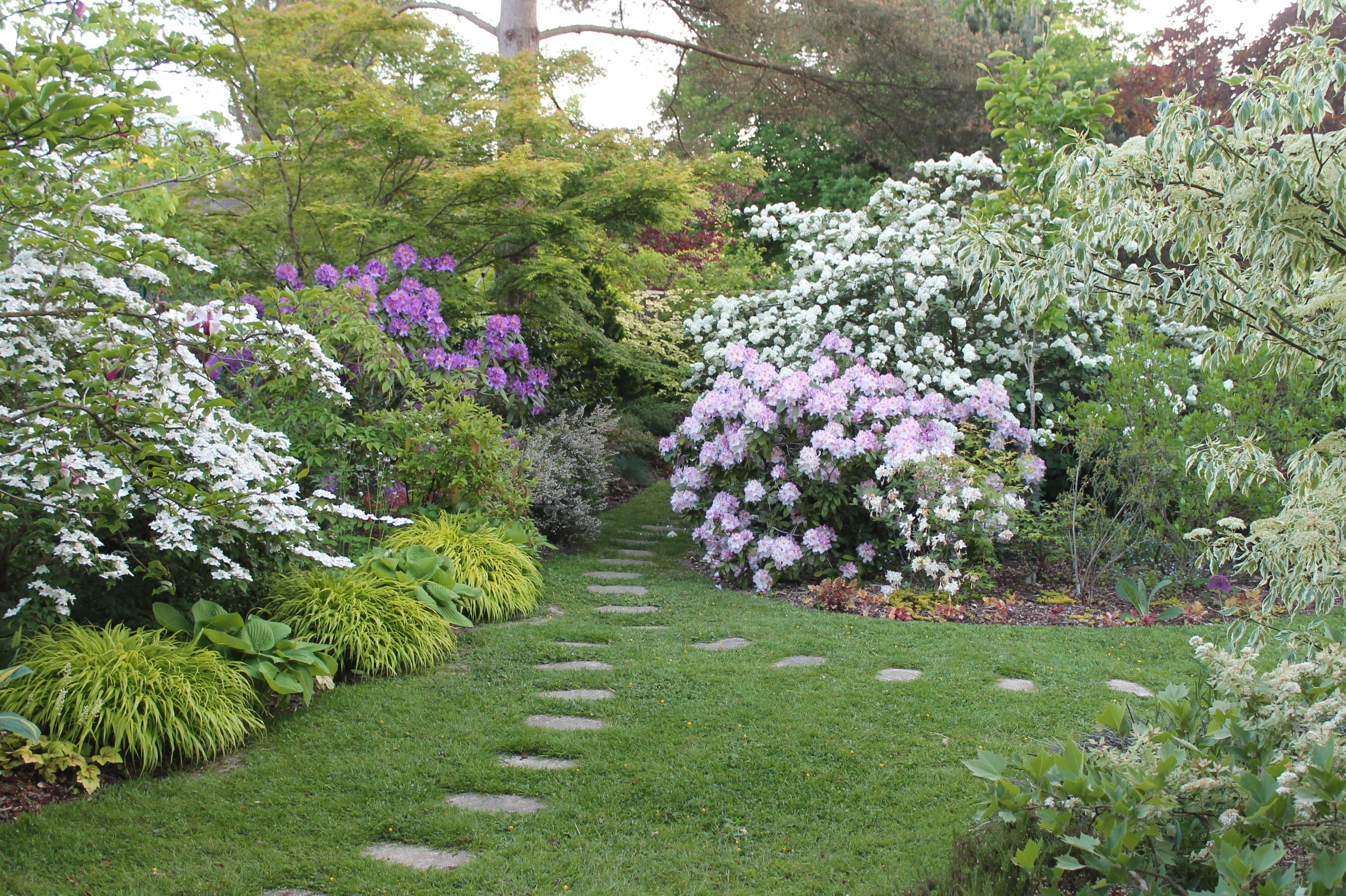 Visite du Jardin des Aubépines