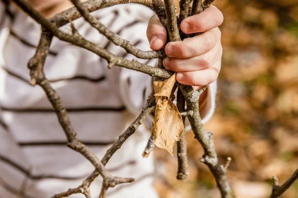 Création en bois