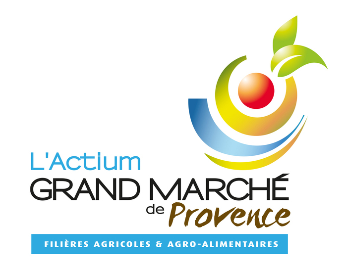 Salon de Provence, Route d'Arles RD 113  13300