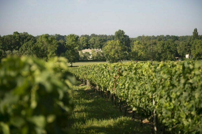 Les portes ouvertes de Saint-Emilion – Lussac – Puisseguin