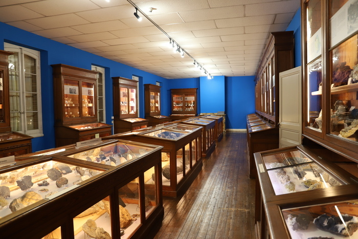 Muséum d'histoire naturelle Philadelphe Thomas