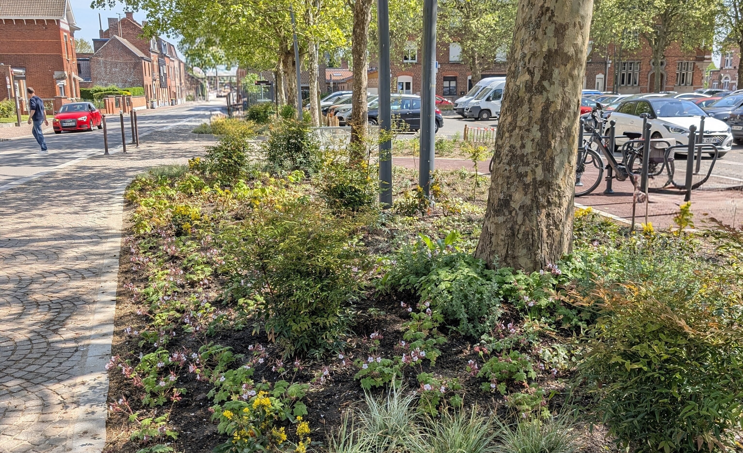 Visite et inauguration de la Place désimperméabilisée et végétalisée et du Square St-Michel
