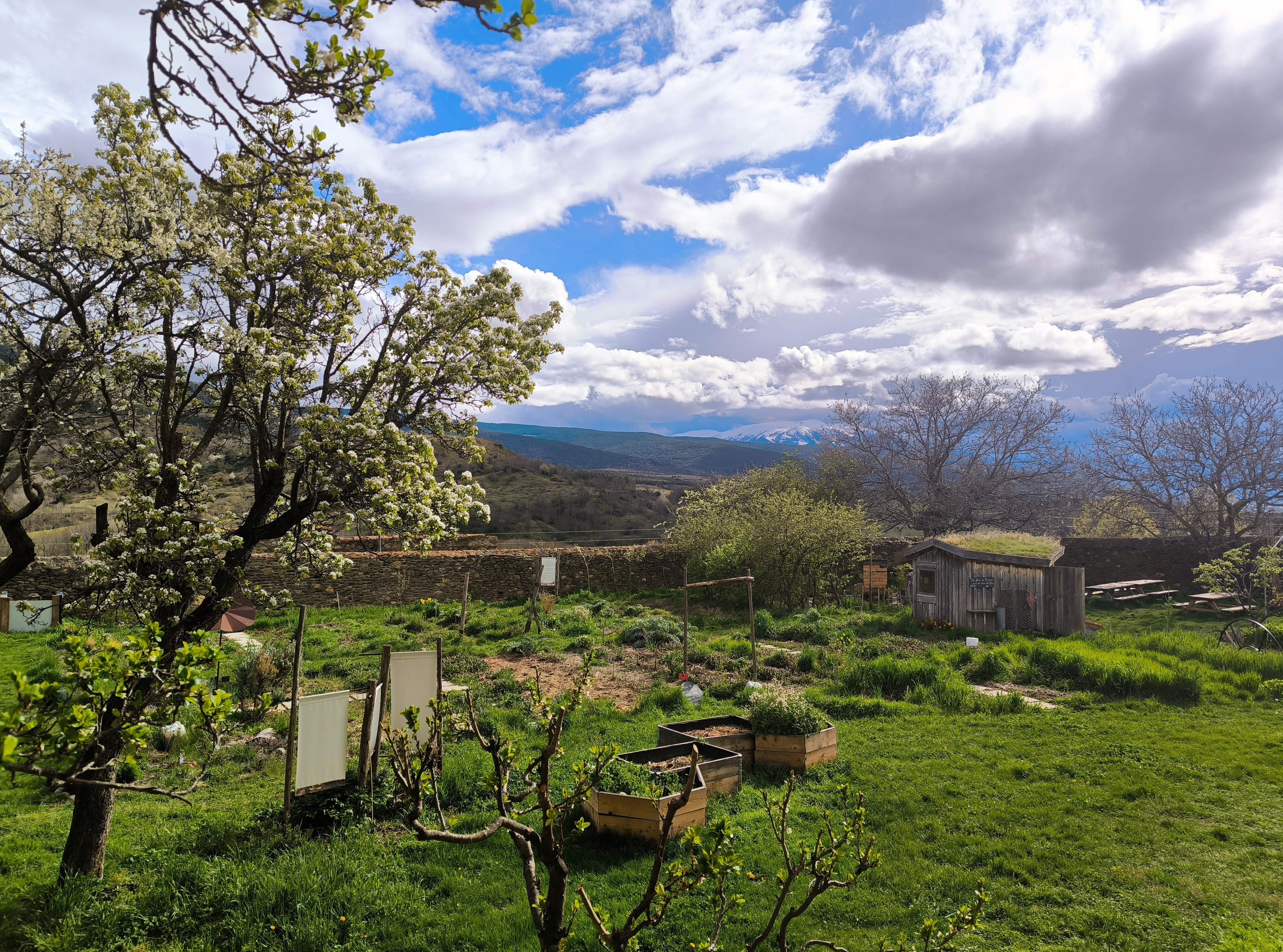 Rendez-vous aux jardins 2026 - Musée de Cerdagne