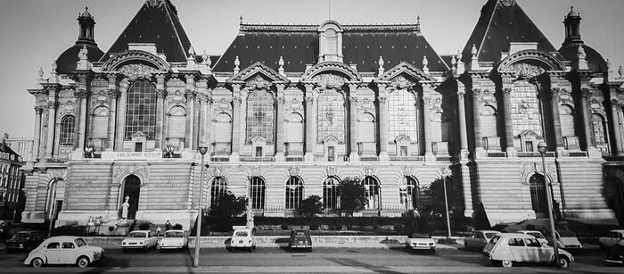 Le Palais des Beaux-Arts de Lille : un musée ouvert sur la ville et les Lillois