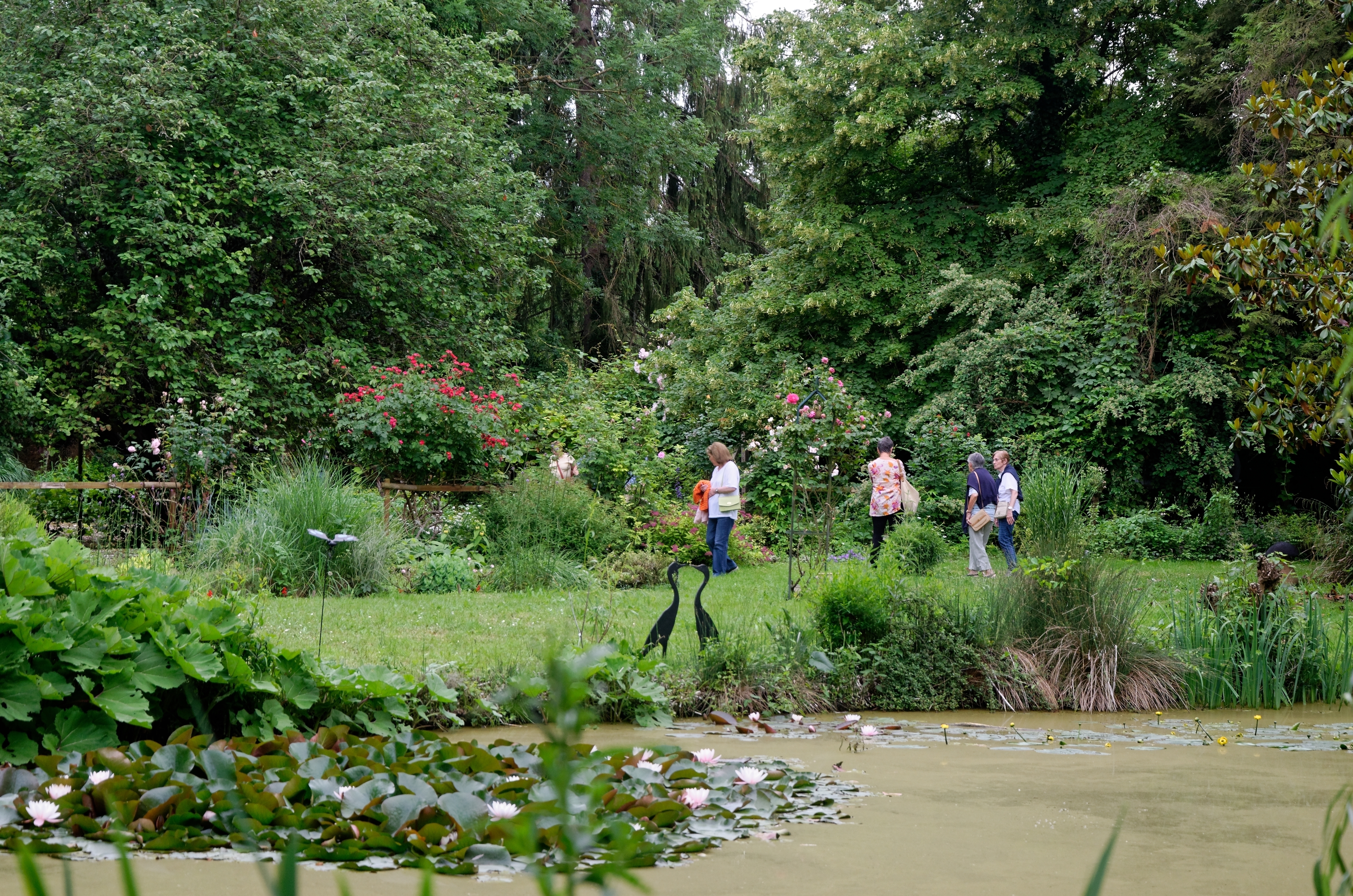 Expo photo dans le jardin