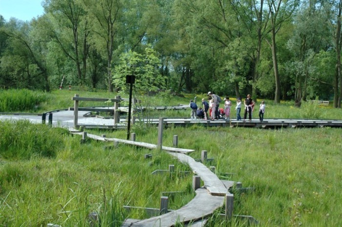 Naturalistic walk: "The secrets of the marsh at dusk"