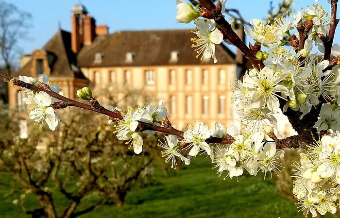 Musée national de Port-Royal des Champs