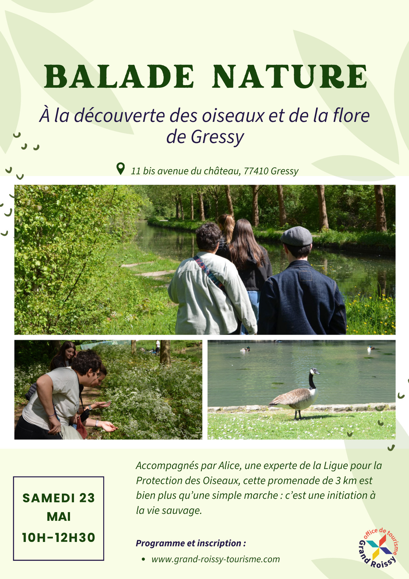 Balade à la découverte des oiseaux et de la flore de Gressy