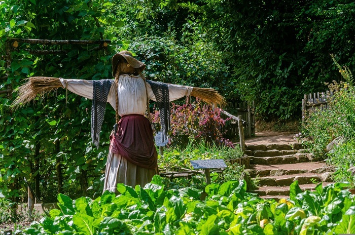 Le Jardin Potager