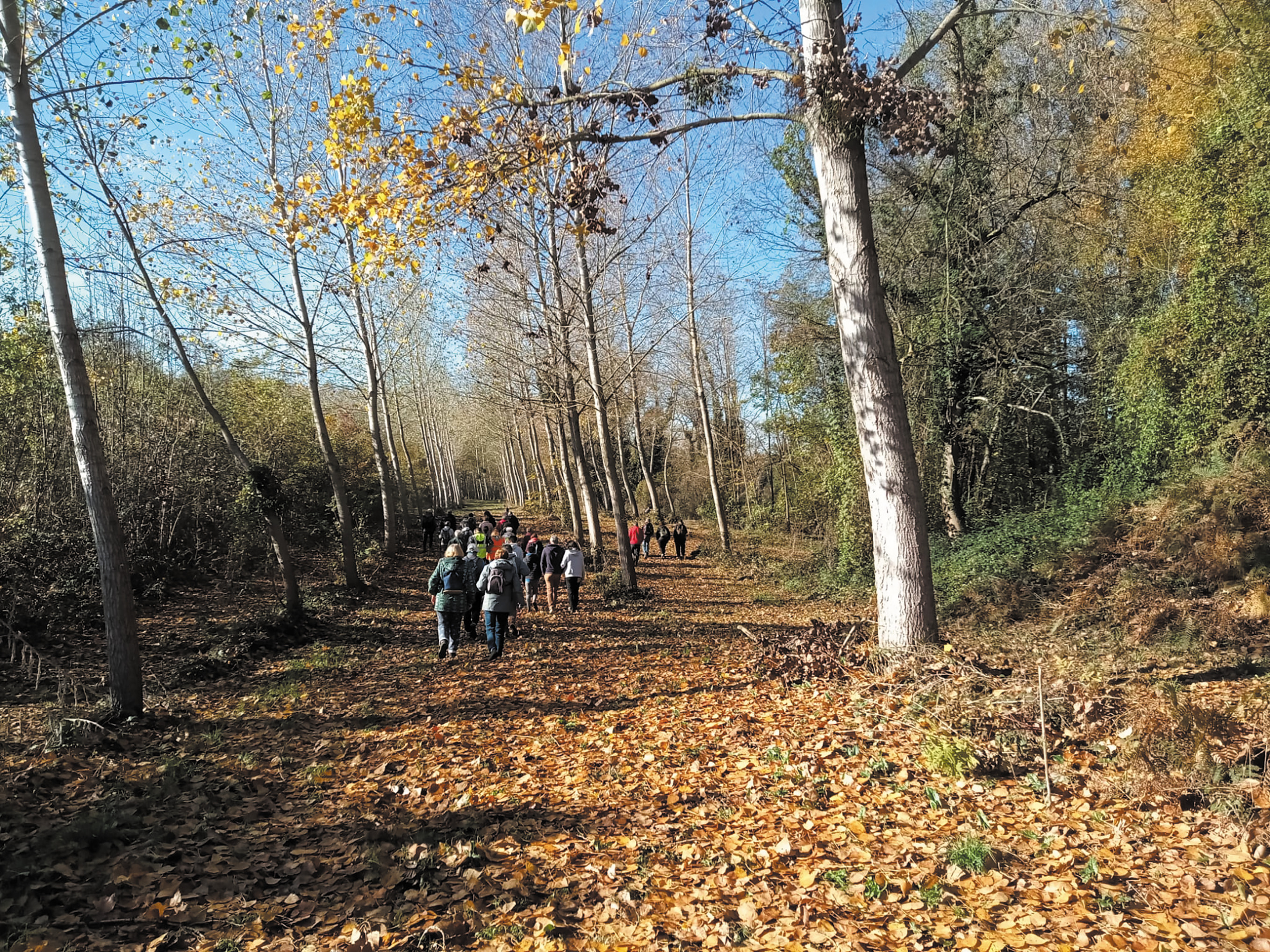 Visite libre du sentier nature