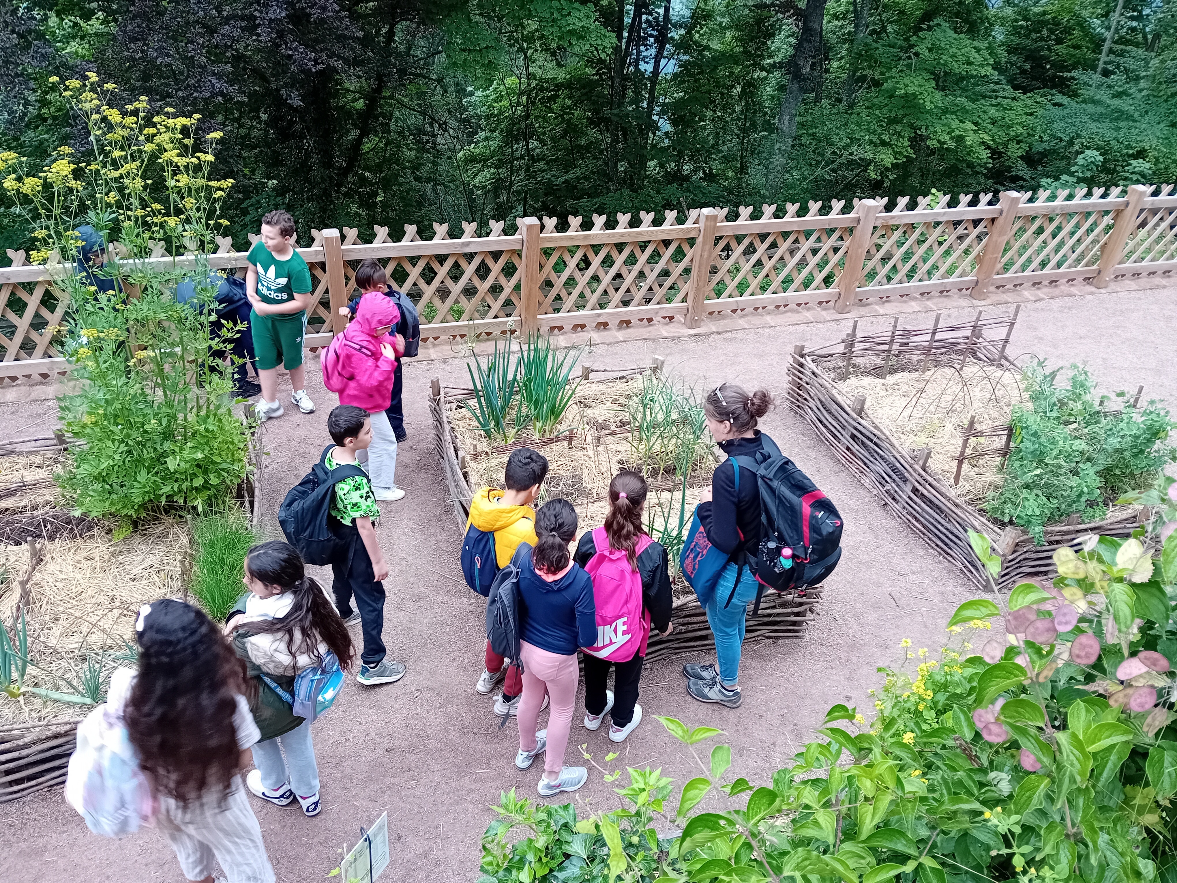 Atelier scolaire : le jardin à la loupe