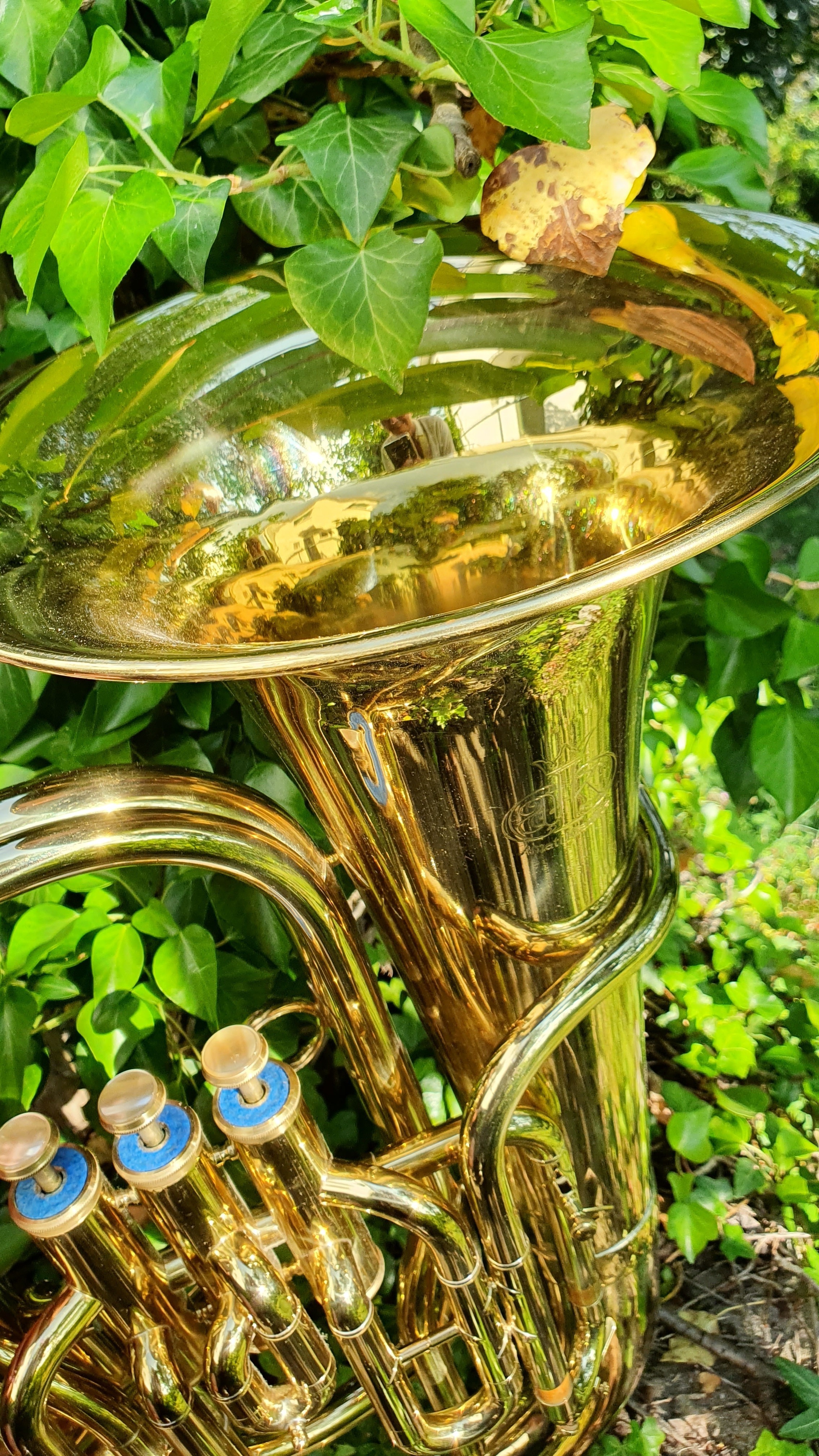 Bulles musicales