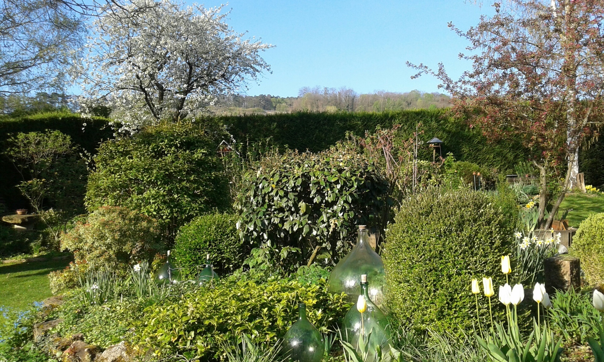 Découverte libre du Jardin pour le plaisir
