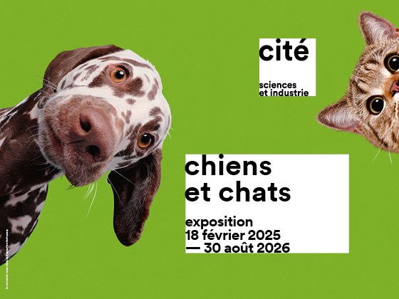 Chiens et chats