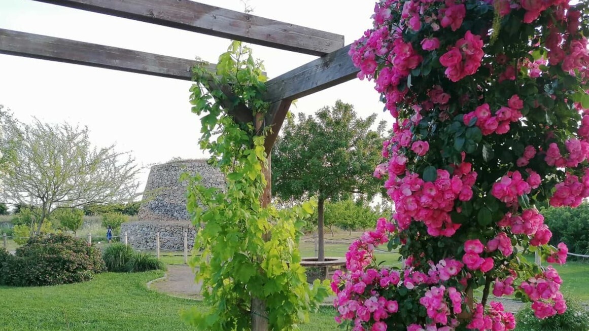 Un jardin pour ceux qui ne voient pas
