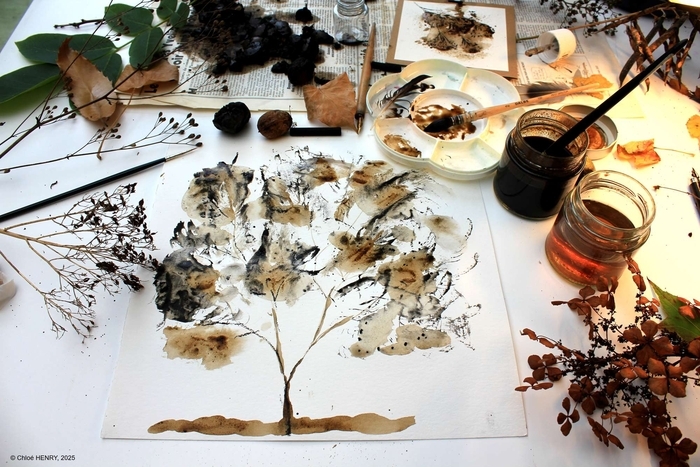 Vert par Nature : encre d’arbre