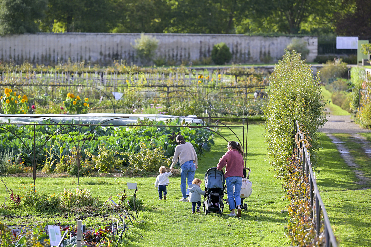 Les Saveurs du Potager 2026