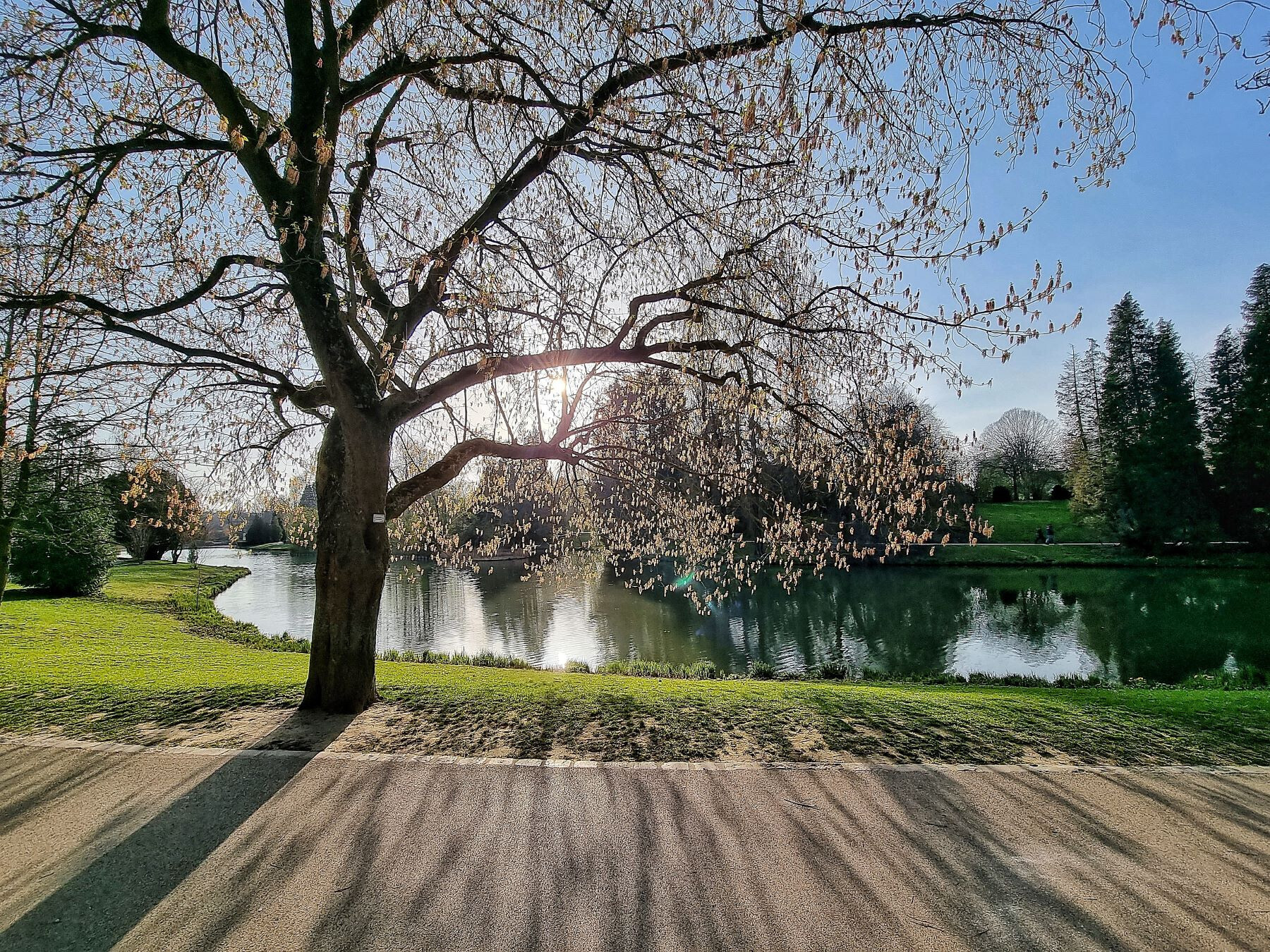 Visite olfactive du parc Barbieux
