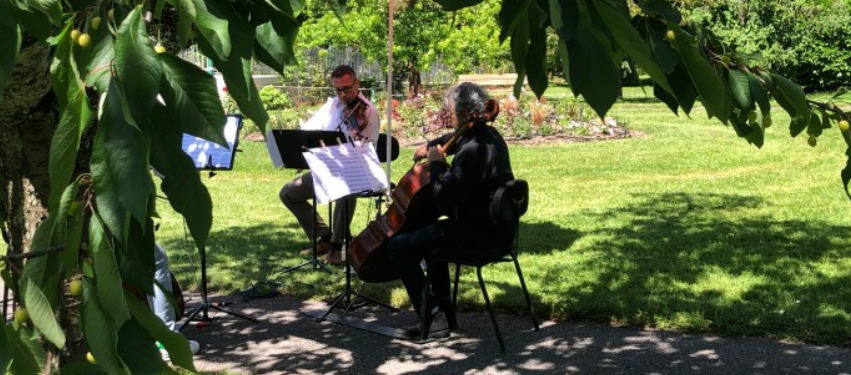 Concert classique gratuit en plein air