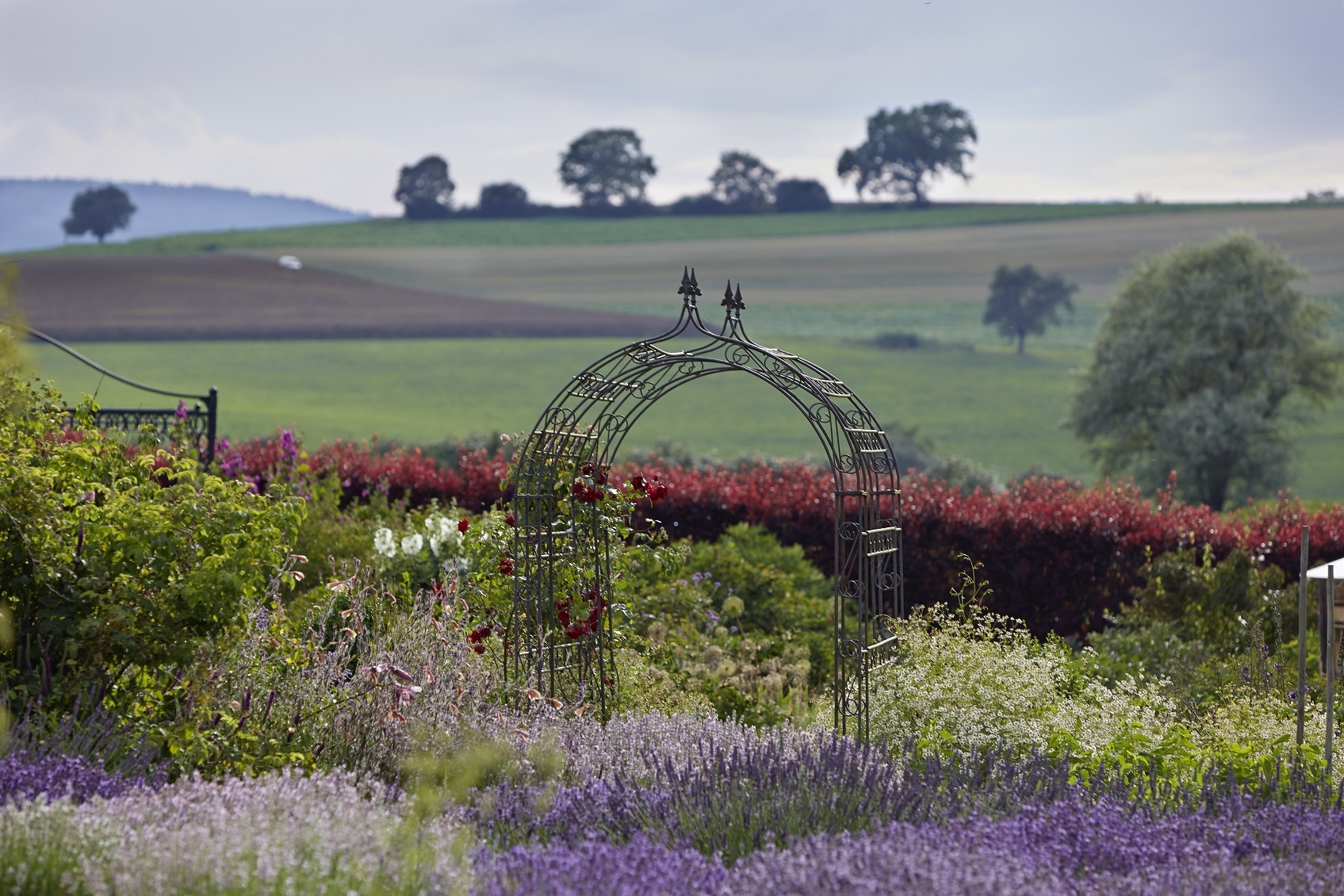 Un coup d’œil dans les jardins des professionnels - jardin de démonstration dans une jardinerie écologique de parfums et d’herbes aromatique