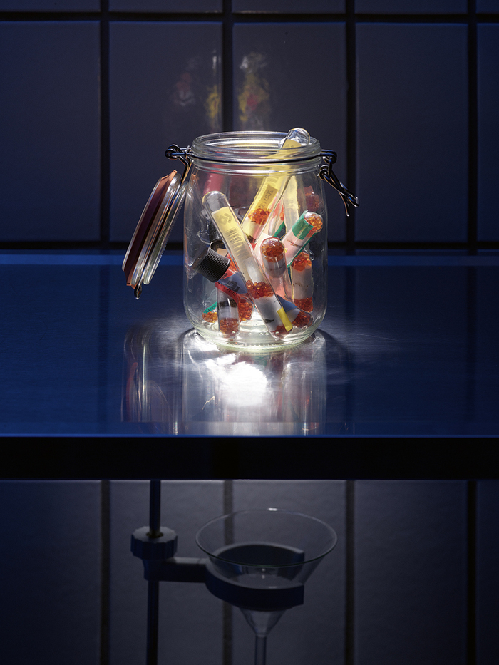 Seeds of the Past: Seed Banks & Climate Change