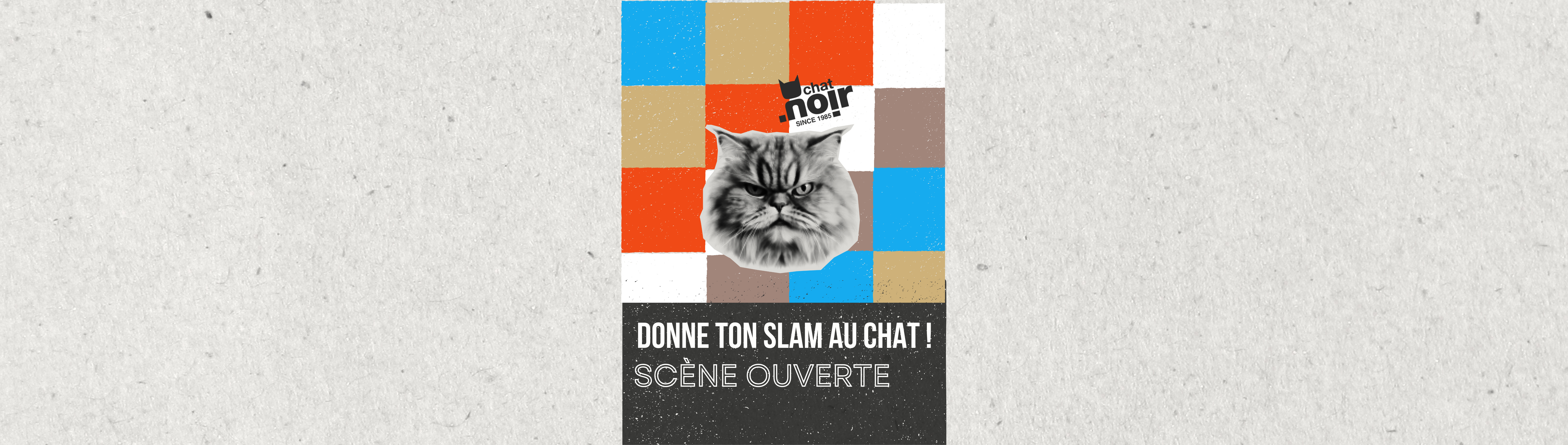 DONNE TON SLAM AU CHAT !