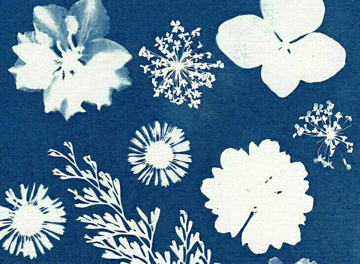 Cyanotype: du numérique à l’analogique