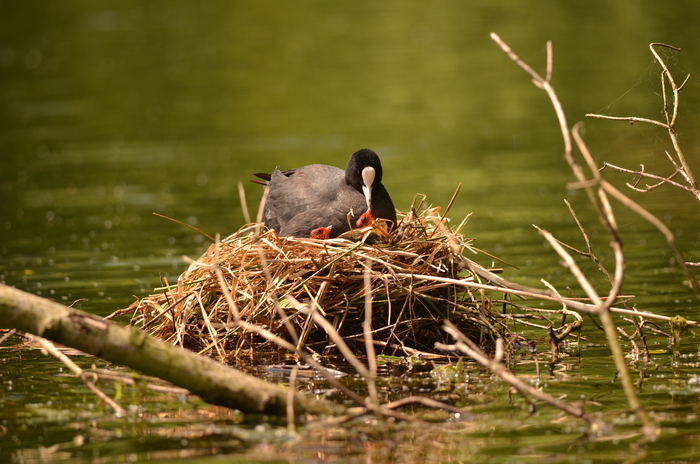 La palette de l'artiste