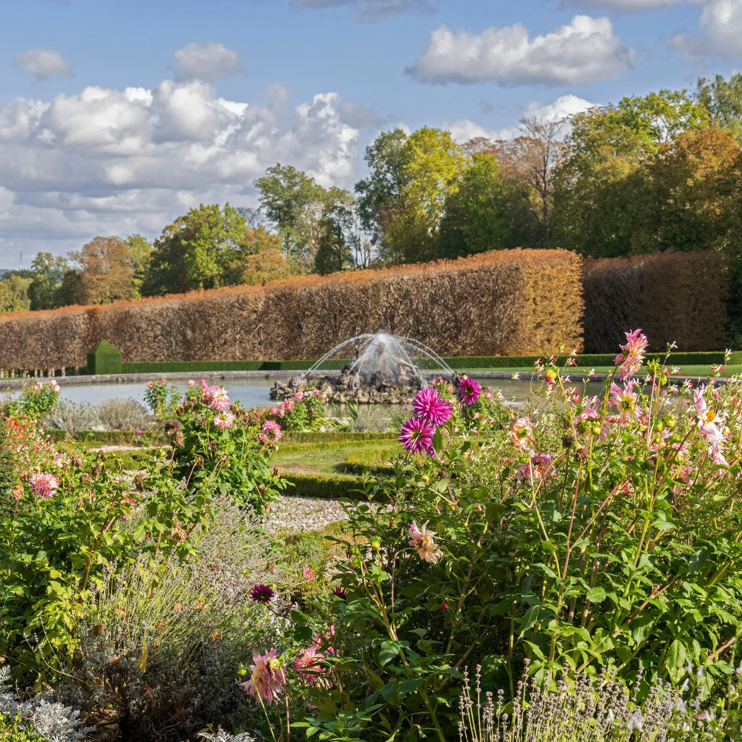 Rendez-vous aux jardins