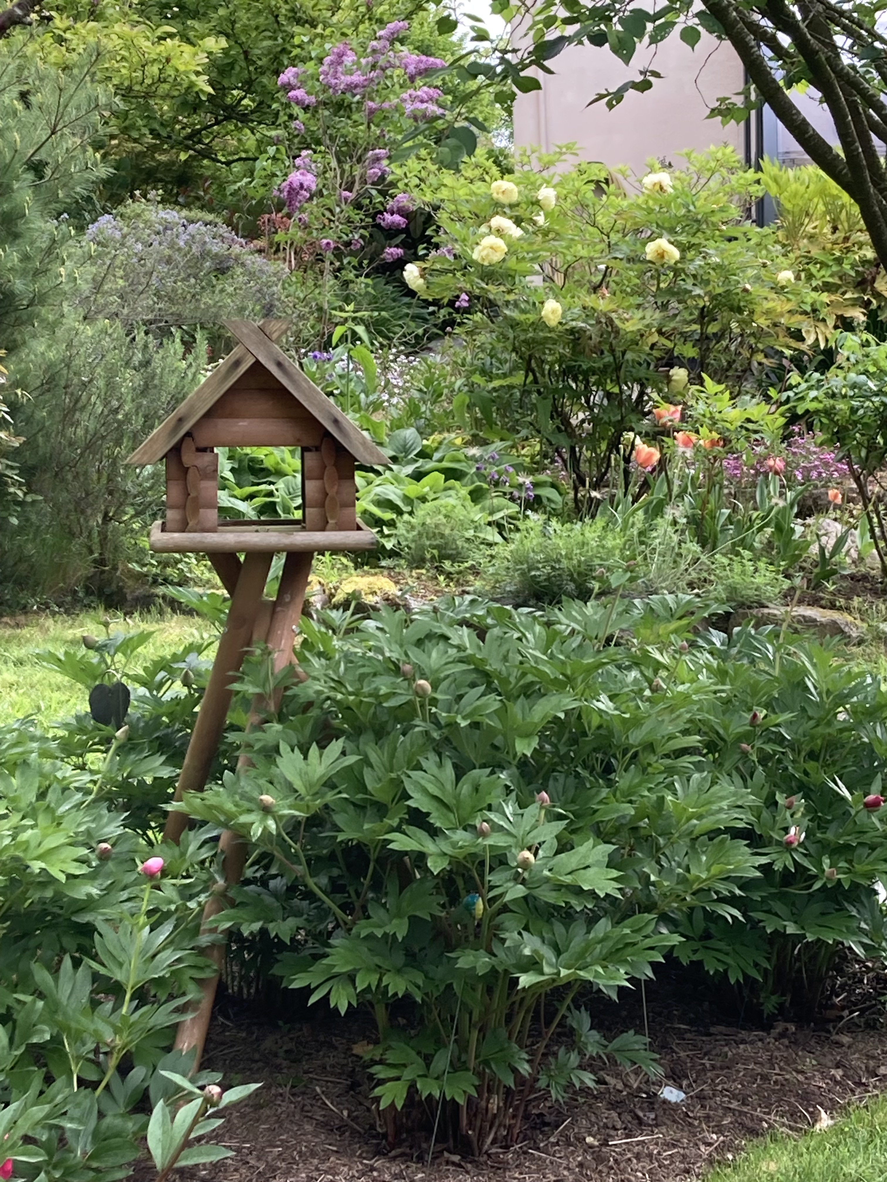 Visite du jardin botanique du Grand Clos