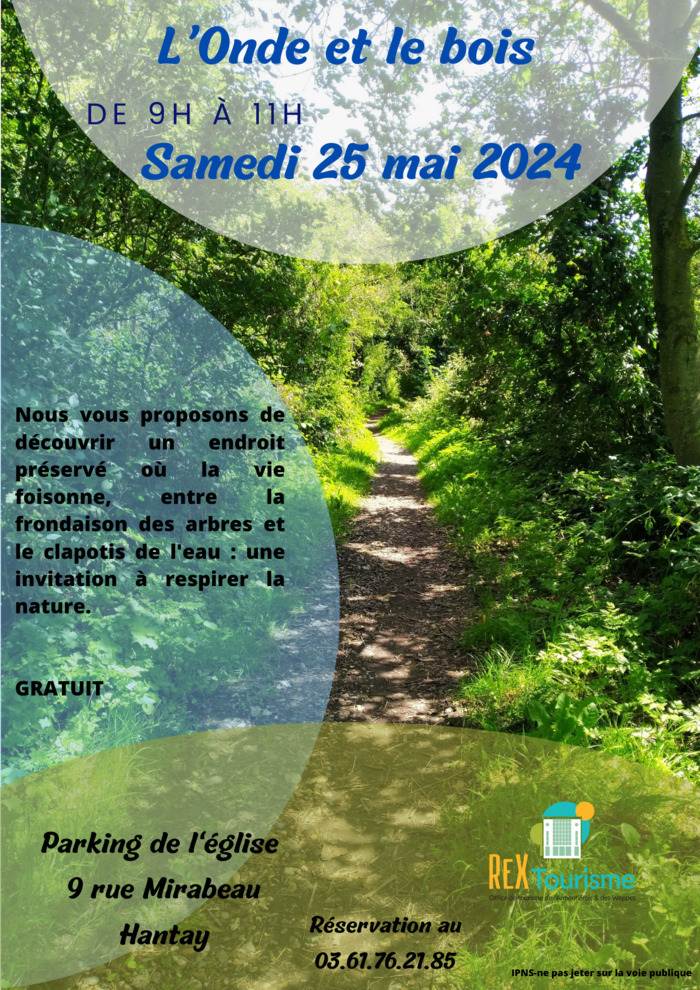 L'Onde et le Bois (sortie nature) dans le cadre des RDV Nature 2024
