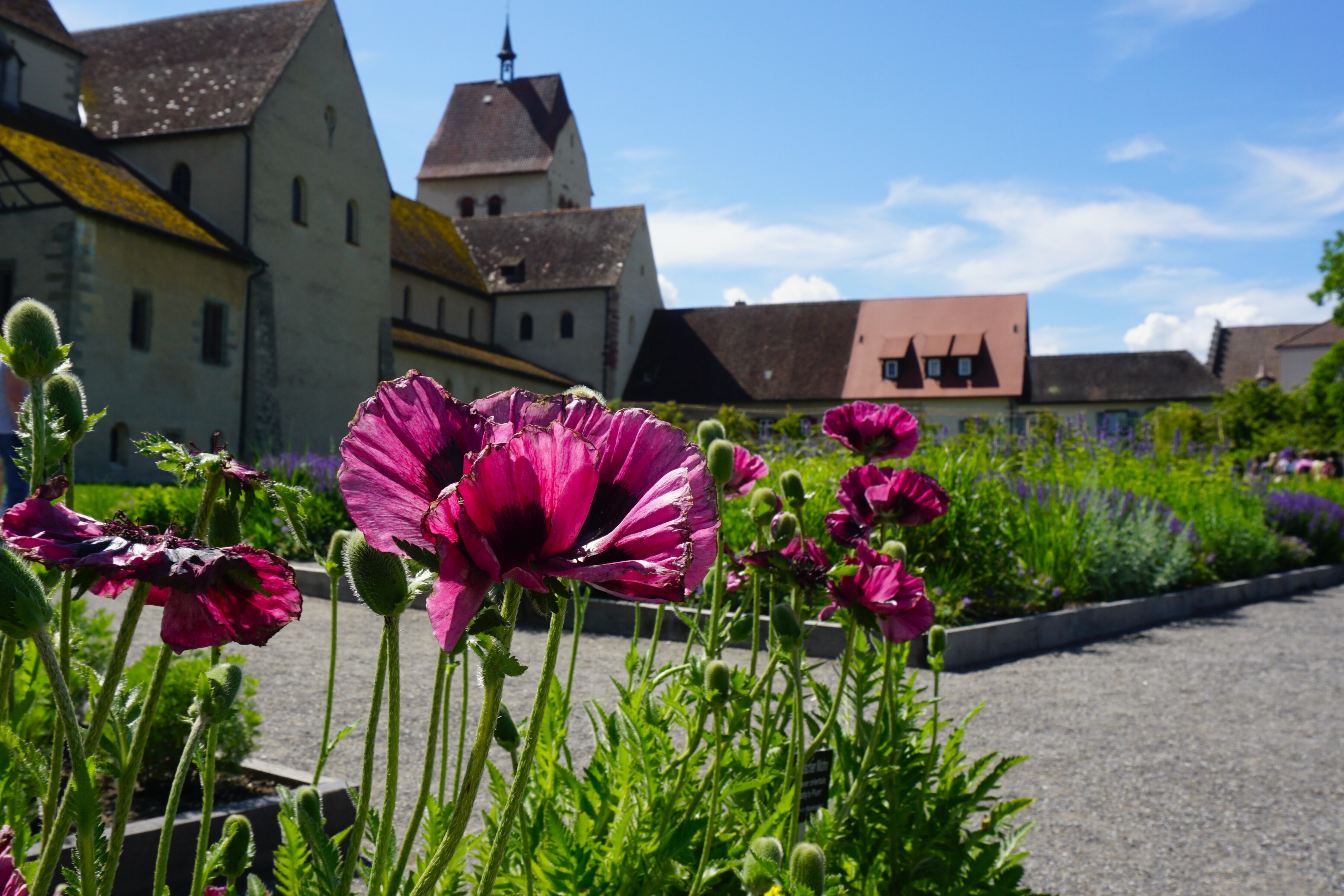 Les jardins monastiques sur l’île monastique de Reichenau - patrimoine mondial de l’UNESCO