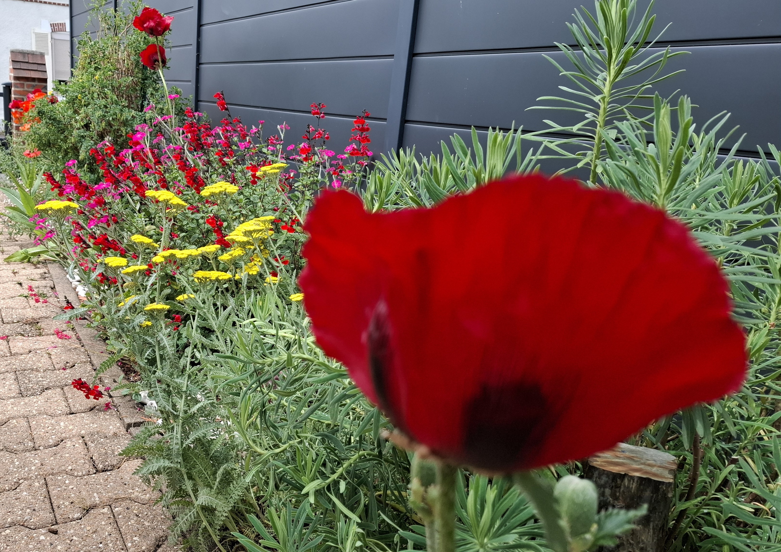 visite libre jardin privé