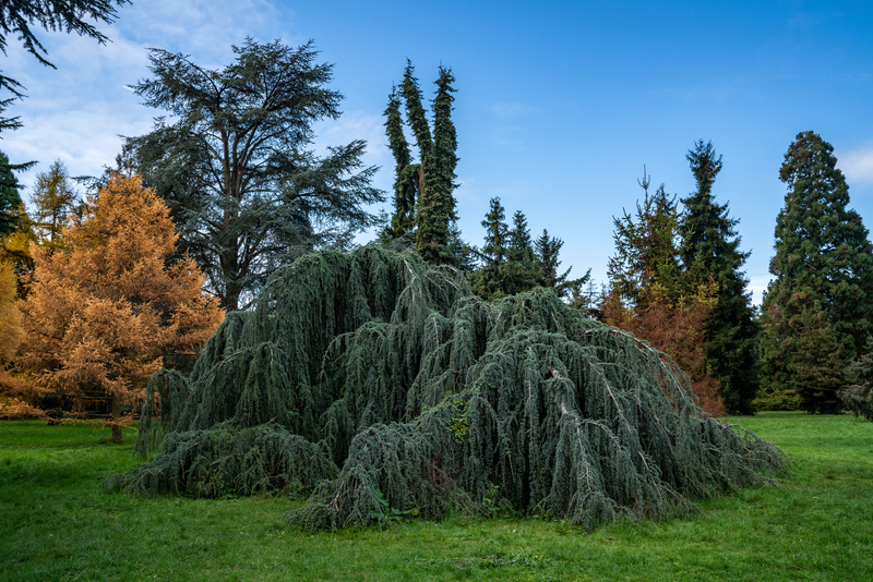 Rendez-vous aux jardins, à l'arboretum de Paris